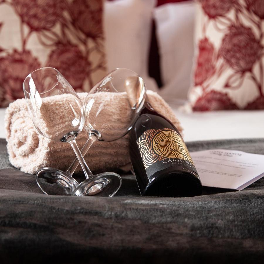 Ayama Wine Farm - Manor House Bed & Breakfast Wellington Bagian luar foto