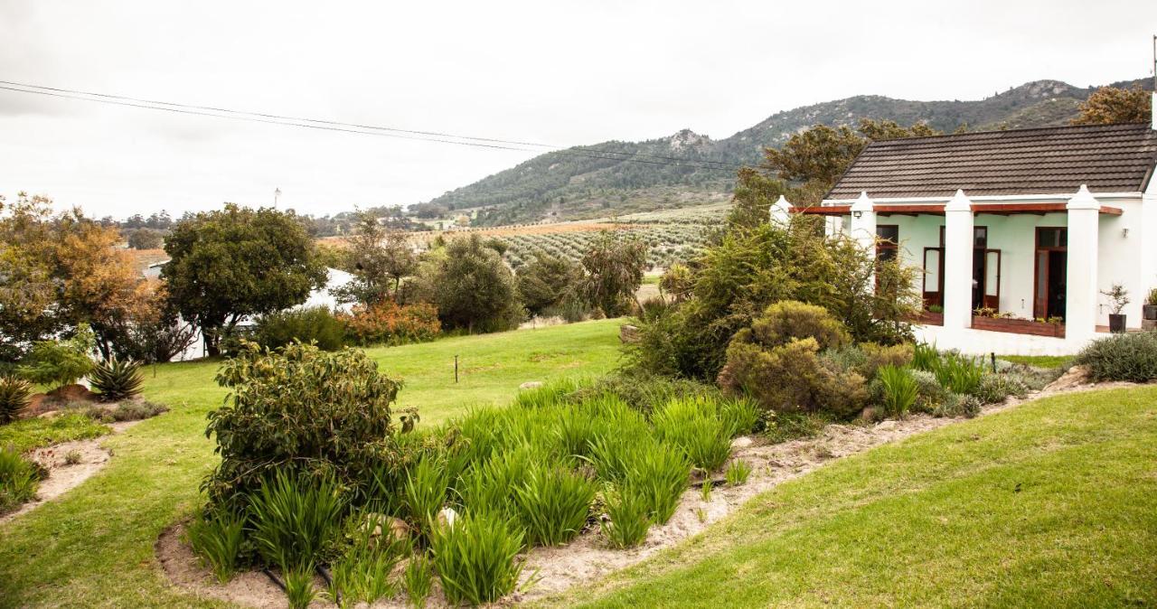 Ayama Wine Farm - Manor House Bed & Breakfast Wellington Bagian luar foto