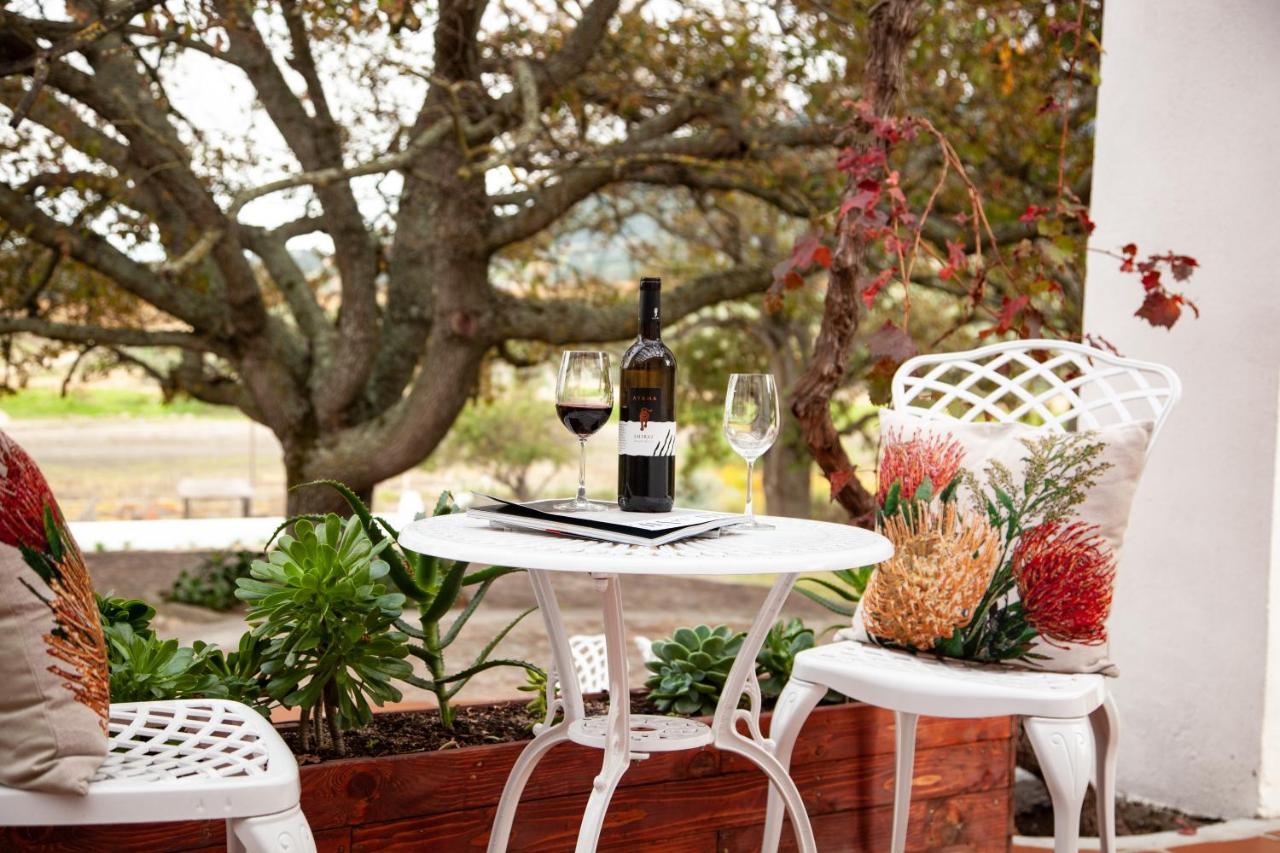 Ayama Wine Farm - Manor House Bed & Breakfast Wellington Bagian luar foto